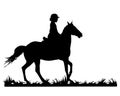 Black silhouette young horsewoman is riding a gallop